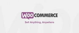 add woocommerce products programmatically