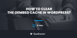 Clear The oEmbed Cache in WordPress