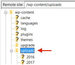 delete thumbnails in wordpress - Uploads folder