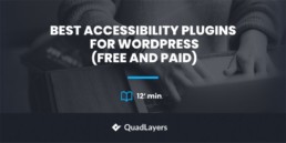 Best Accessibility Plugins for WordPress - featured image 2