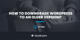 downgrade wordpress