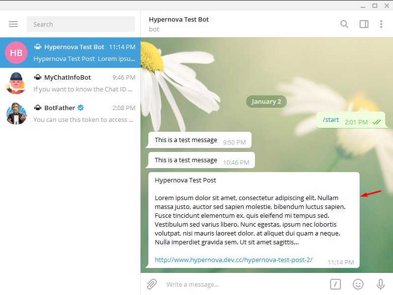 Add Telegram to WordPress - Test Successful