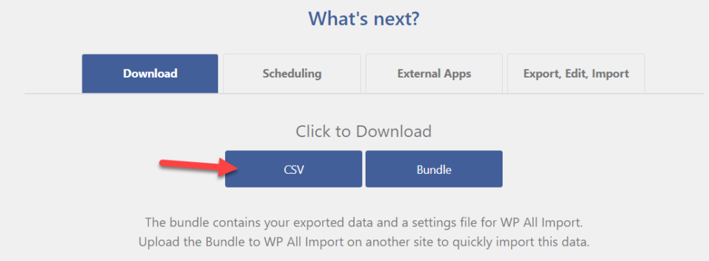 download export file