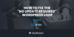 How to fix the No update required WordPress loop