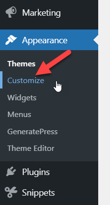 wordpress customizer