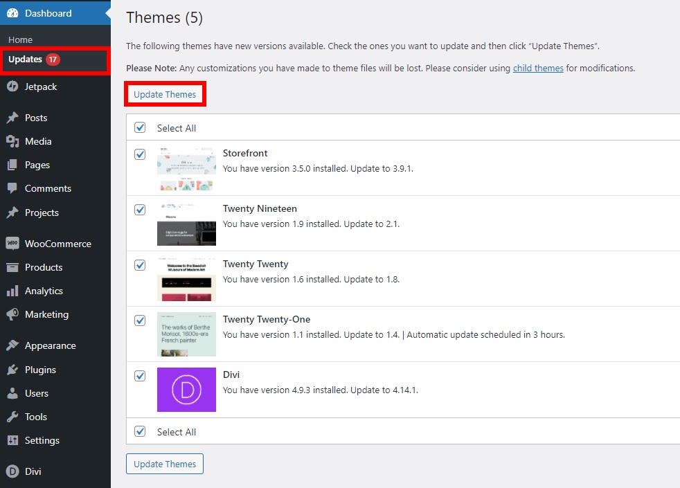 update multiple themes update wordpress theme