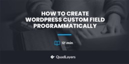 wordpress create custom fields programmatically