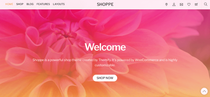 Shoppe theme