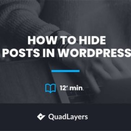 how to hide posts in wordpress