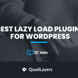 lazy load plugins for wordpress