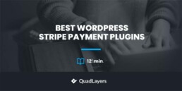 best wordpress stripe payment plugins