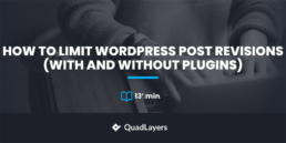 Limit WordPress Post Revisions