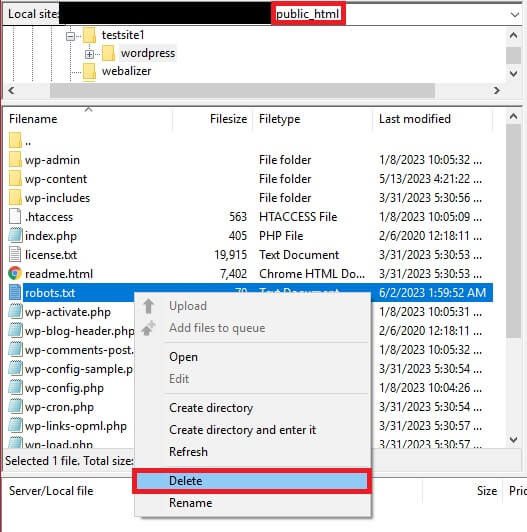delete file remove robots.txt from wordpress