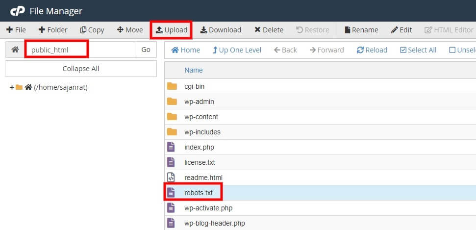 upload file cpanel remove robots.txt from wordpress