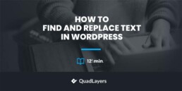find-and-replace-text-in-wordpress