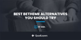 BeTheme Alternatives