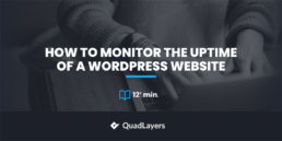 How to Monitor the Uptime of a WordPress Website