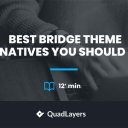 best-bridge-theme-alternatives